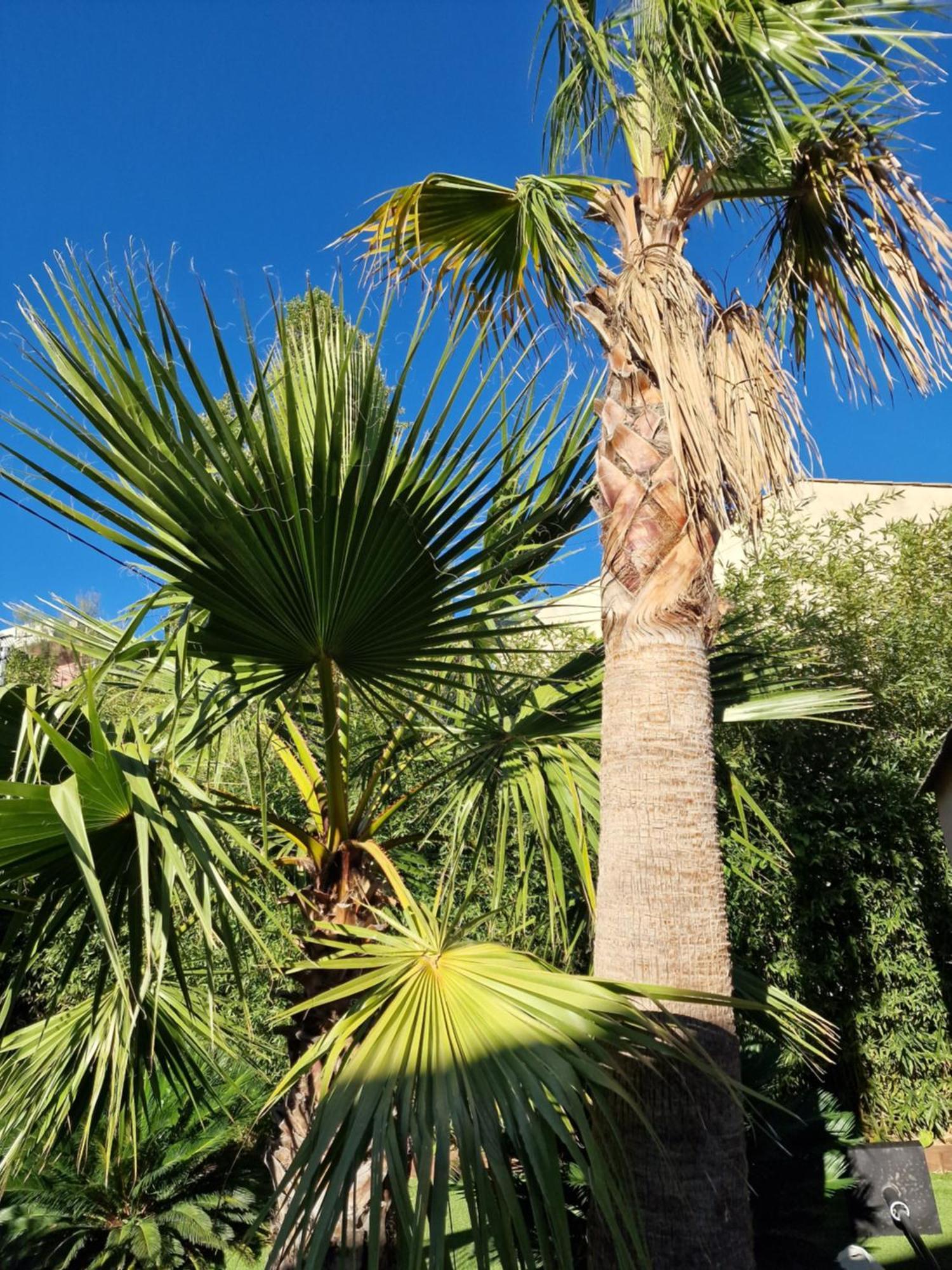 Haut De Villa A 700 Metres De La Plage, Totalement Independant Et Accessible Par Un Escalier Exterieur Sainte-Maxime Esterno foto